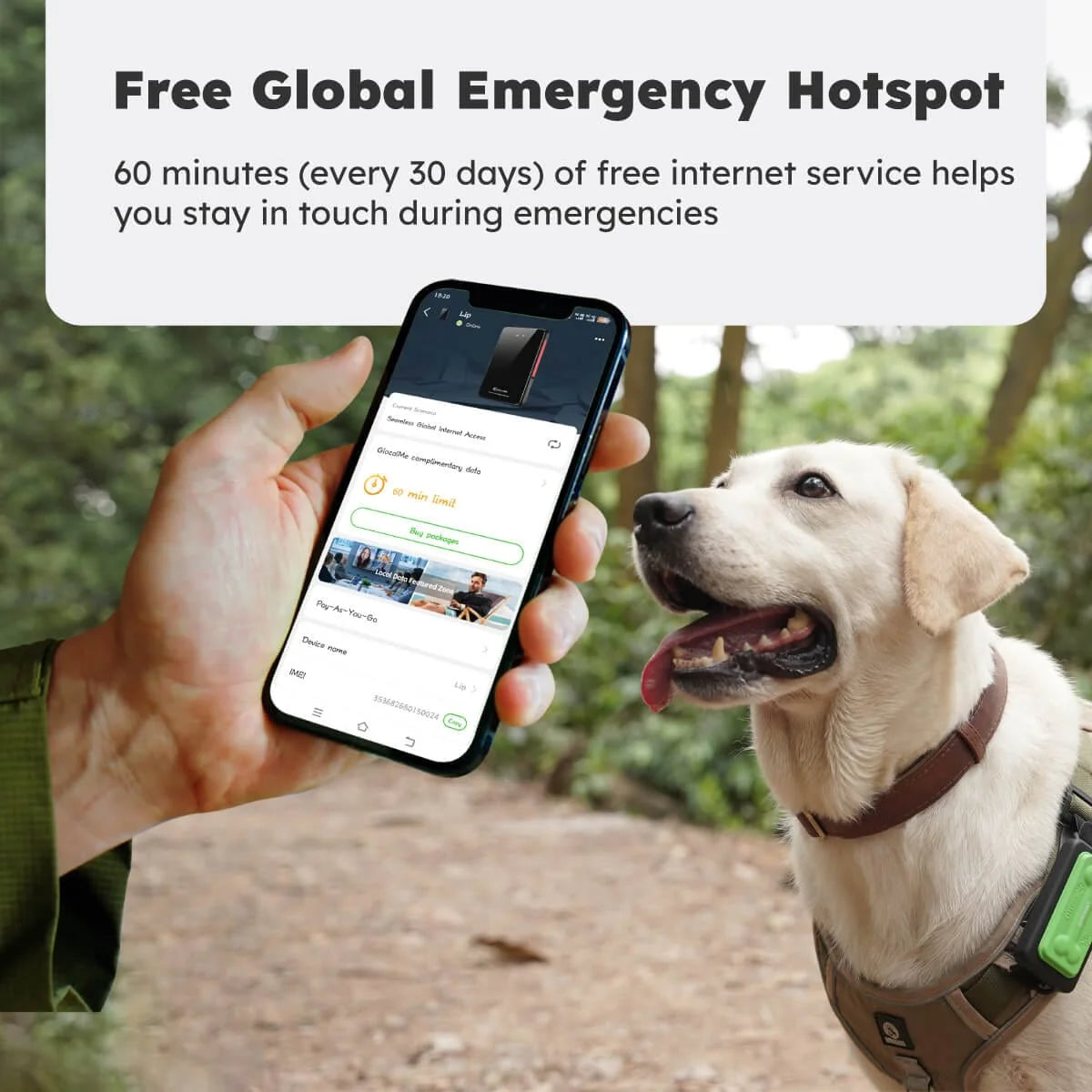 Keytracker Pour Animaux De Compagnie