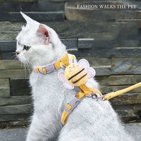 Cat wearing bee harness outdoors