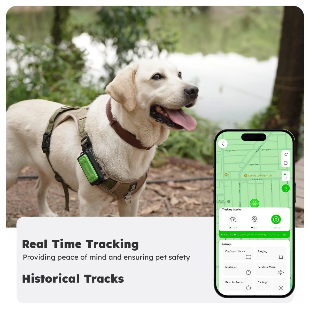 Keytracker Pour Animaux De Compagnie