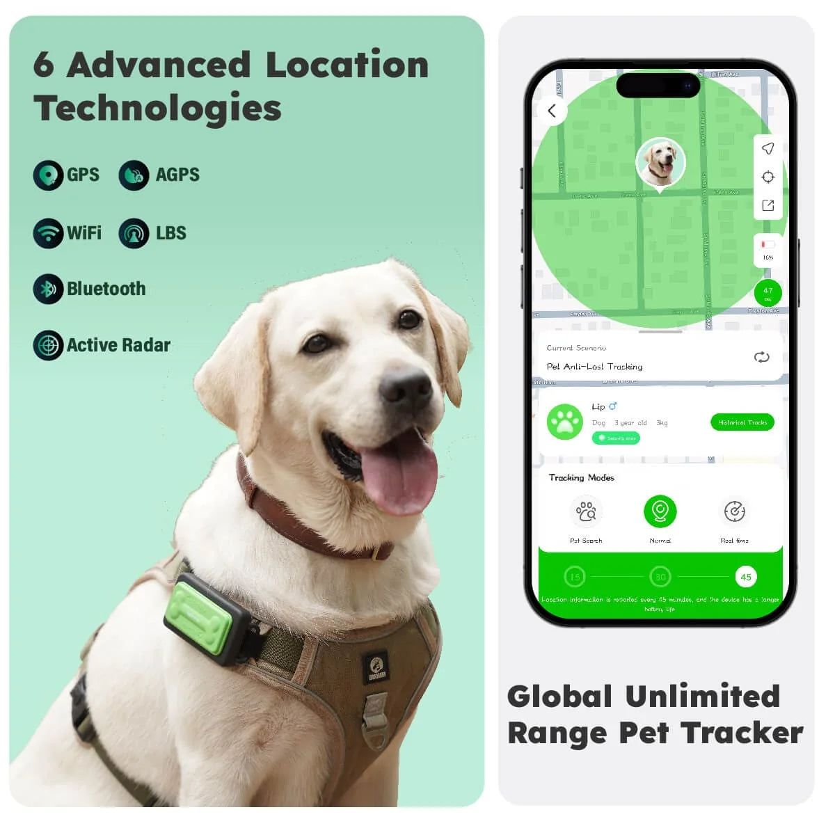 Keytracker Pour Animaux De Compagnie