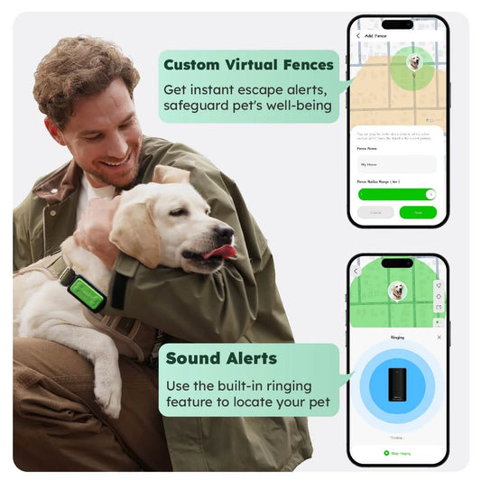 Global pet GPS tracker on a dog collar